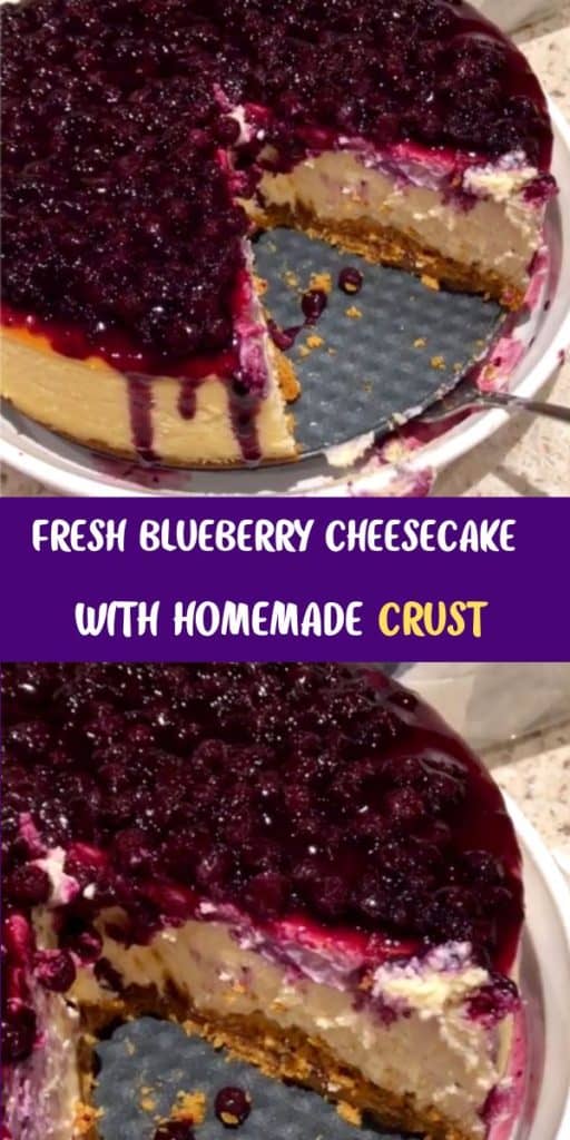 Blueberry Cheesecake