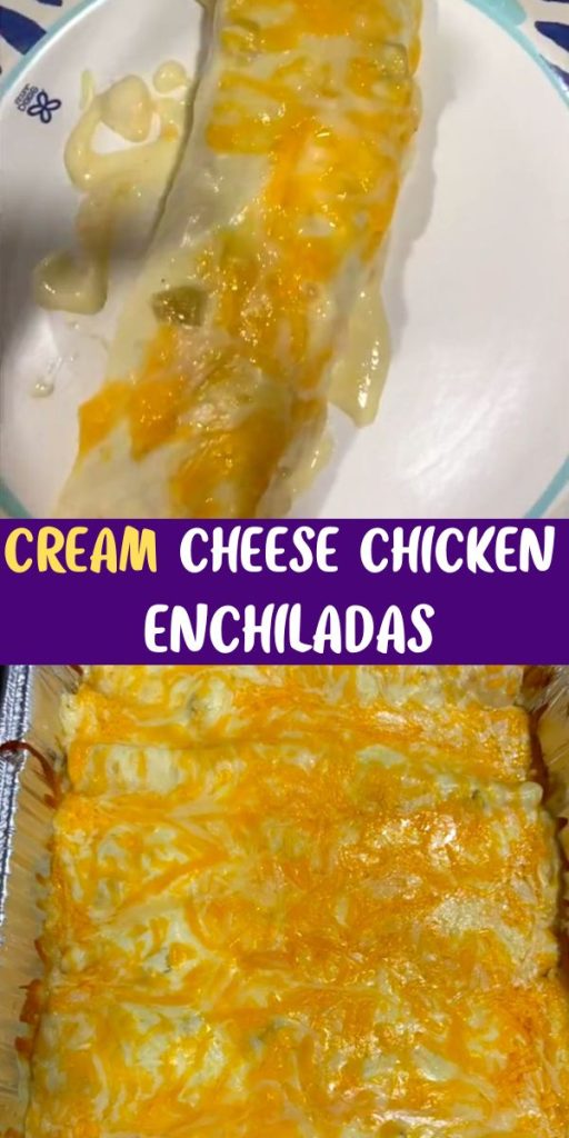 Cream Cheese Chicken Enchiladas