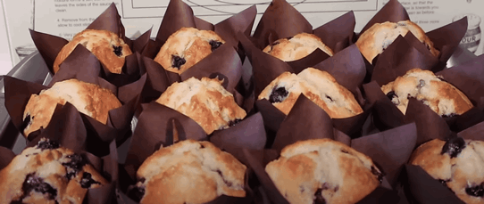 Bisquick Blueberry Muffin Recipe