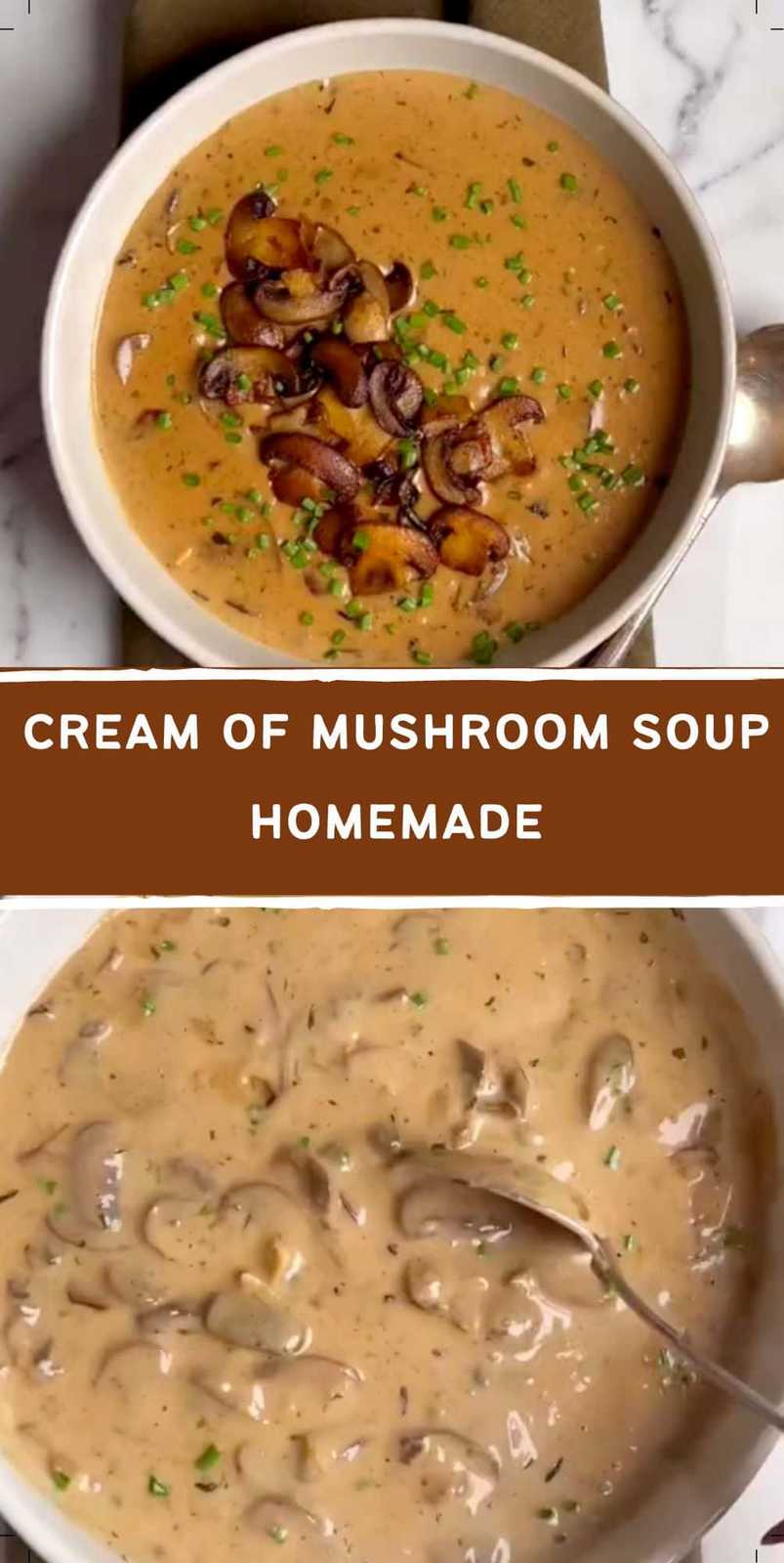 Cream of mushroom soup homemade